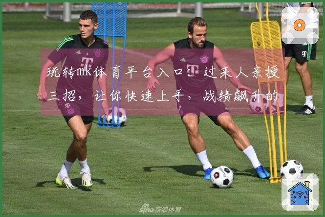 玩转mk体育平台入口:过来人亲授三招,让你快速上手,战绩飙升的秘诀